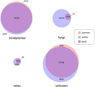 The Viscum album Gene Space database